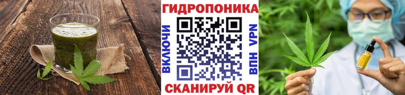 купить наркотики цена  Камбарка  Еда ТГК конопля 